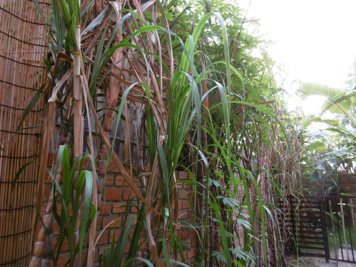 Andre Boutique Villa Siem Reap Eksteriør bilde
